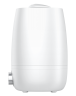 Увлажнитель воздуха ультразвуковой Royal Clima RUH-AC300/4.0M-WT ACERRA